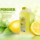 Penguen Kolonya